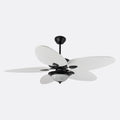 Galata Black Motor Brown Wing No Light Wall Controlled 132cm Ceiling Fan