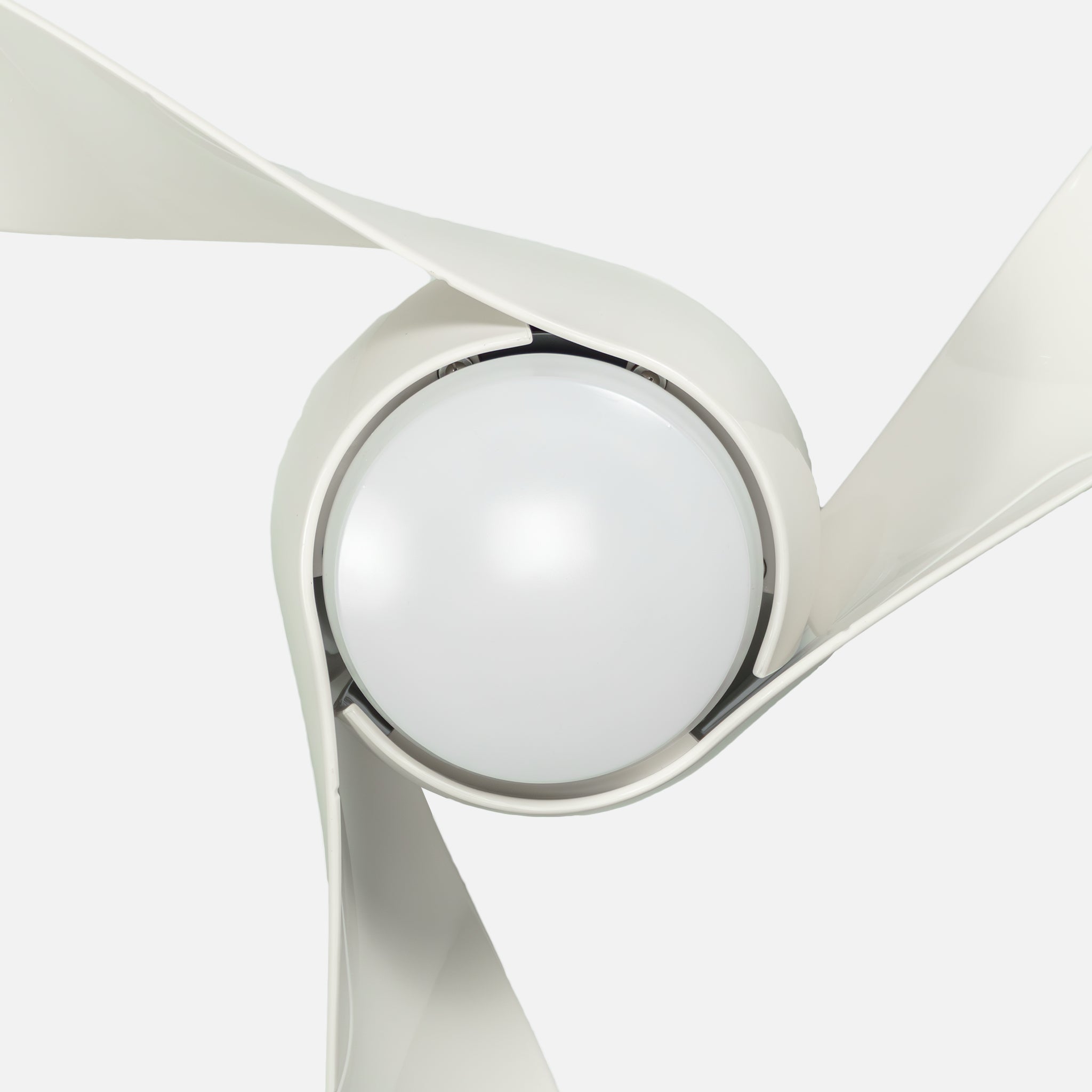 Urla 127cm Ceiling Fan with White Light and Remote Control