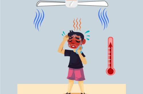 Tavan Pervanesi Ne İşe Yarar? Faydalı mı ?